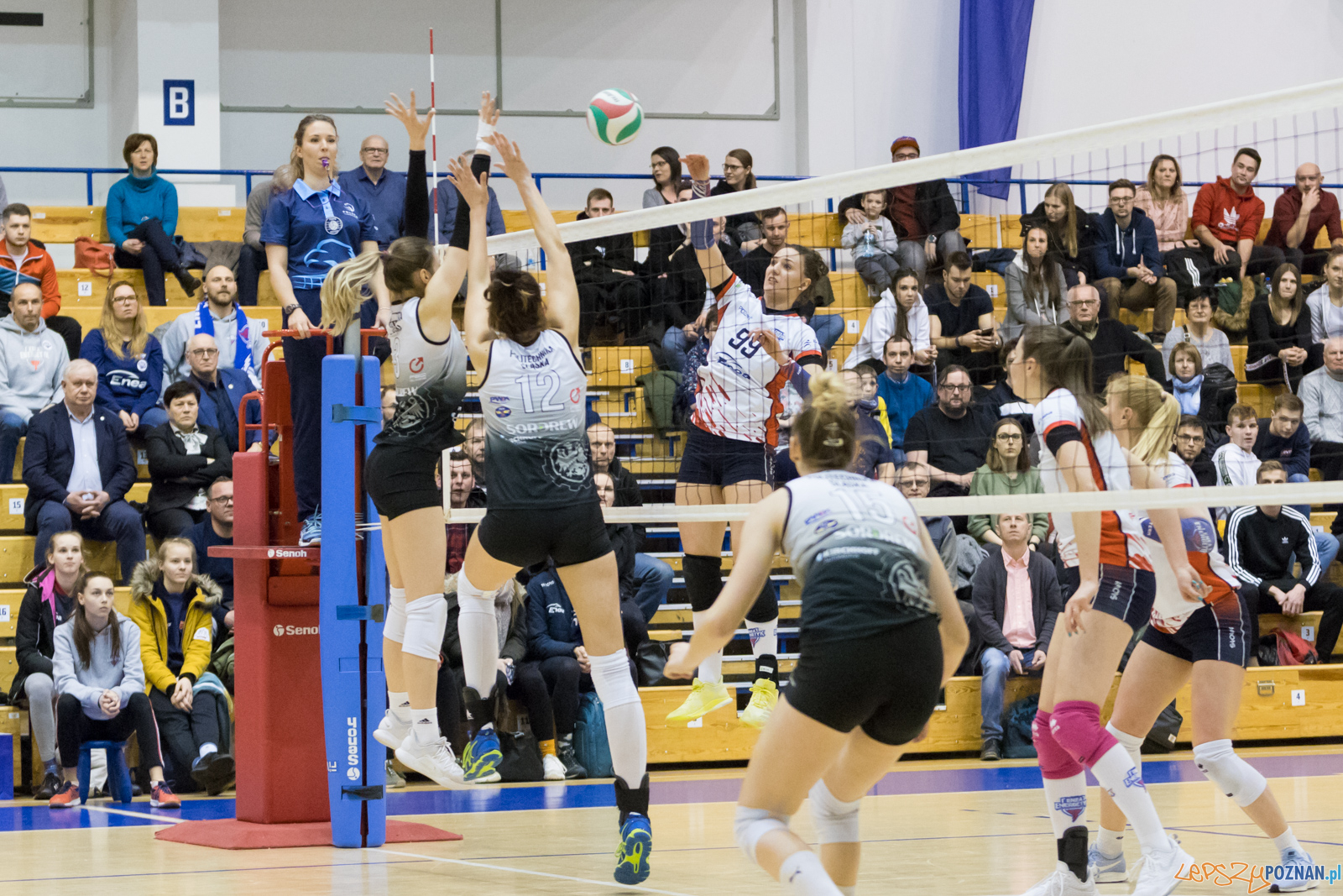 Enea Energetyk Poznań - AZS Politechnika Śląskia Gliwice Foto: lepszyPOZNAN.pl/Piotr Rychter Enea Energetyk Poznań - AZS Politechnika Śląskia Gliwice Foto: lepszyPOZNAN.pl/Piotr Rychter