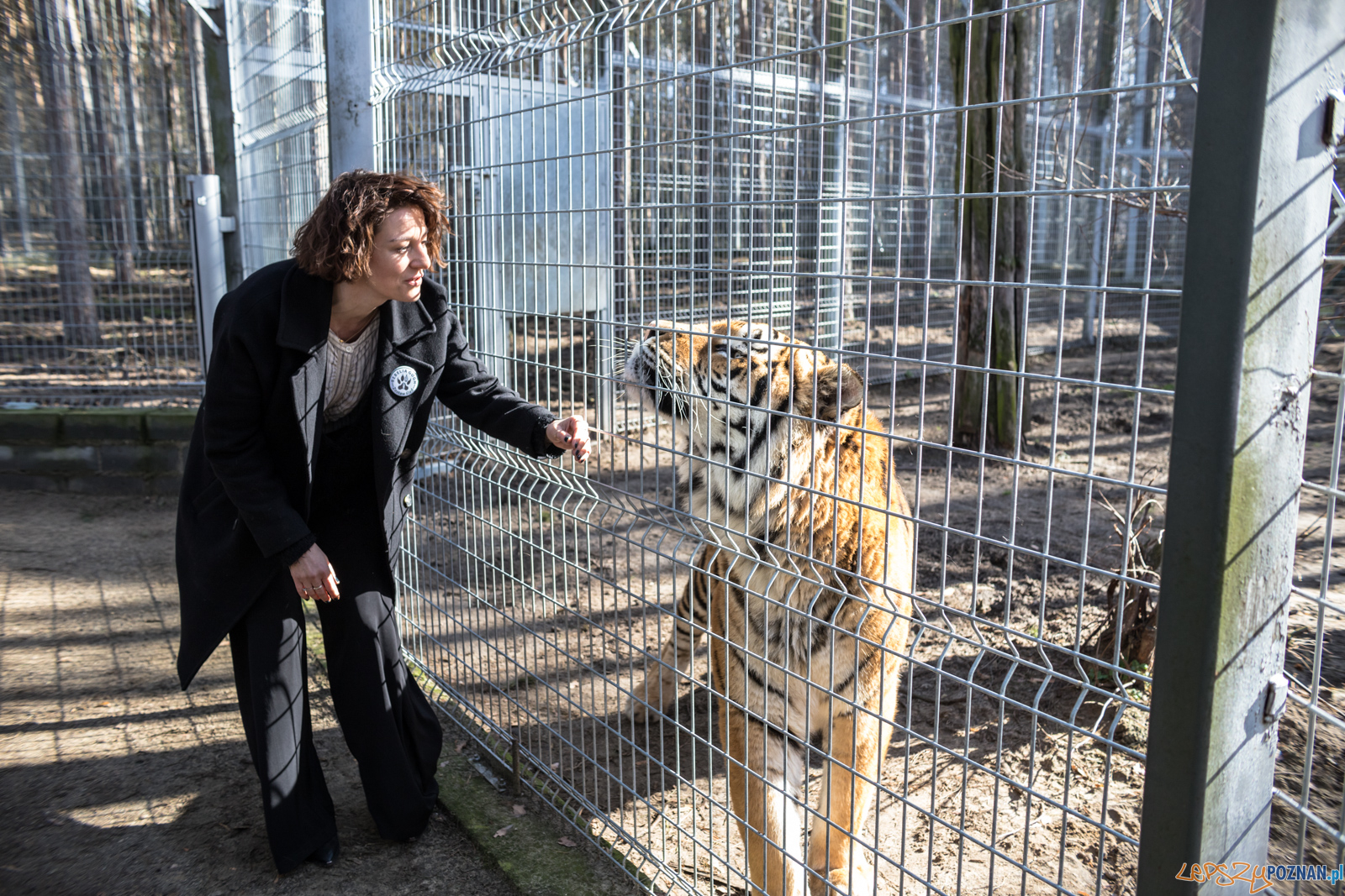 Apel dla Nieumarłych Foto: lepszyPOZNAN.pl/Piotr Rychter Apel dla Nieumarłych Foto: lepszyPOZNAN.pl/Piotr Rychter