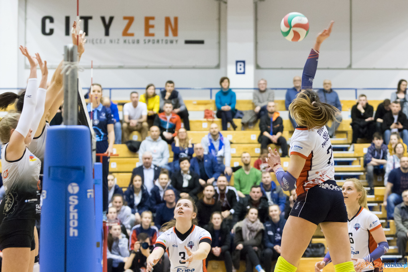 Enea Energetyk Poznań - AZS Politechnika Śląskia Gliwice Foto: lepszyPOZNAN.pl/Piotr Rychter Enea Energetyk Poznań - AZS Politechnika Śląskia Gliwice Foto: lepszyPOZNAN.pl/Piotr Rychter