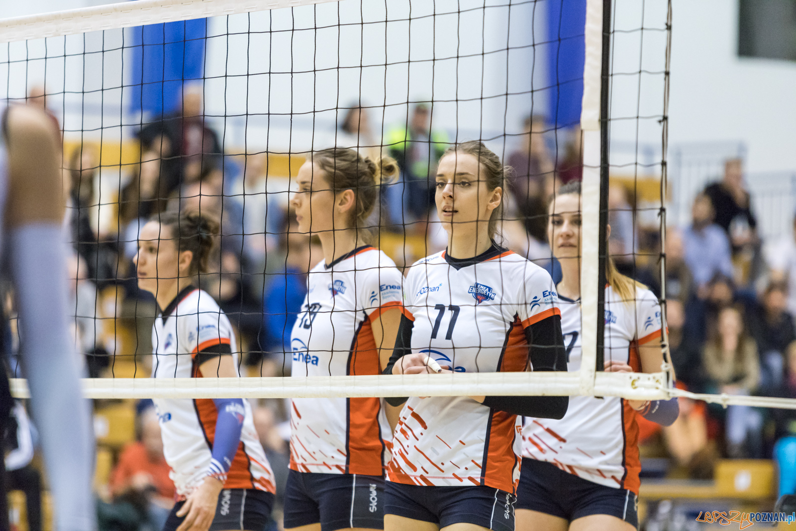 Enea Energetyk Poznań - AZS Politechnika Śląskia Gliwice Foto: lepszyPOZNAN.pl/Piotr Rychter Enea Energetyk Poznań - AZS Politechnika Śląskia Gliwice Foto: lepszyPOZNAN.pl/Piotr Rychter