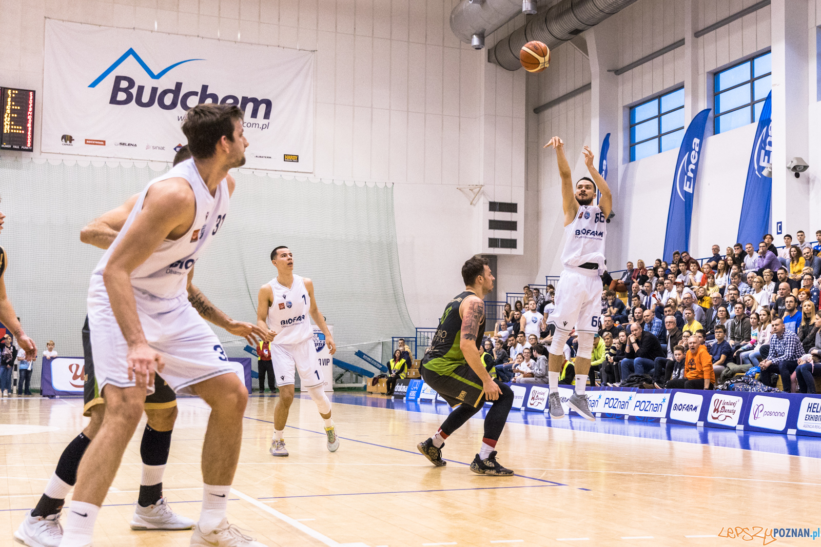 Miasto Szkła Krosno - Biofarm Basket Poznań 65:74 - Poznań 8. Foto: LepszyPOZNAN.pl / Paweł Rychter Miasto Szkła Krosno - Biofarm Basket Poznań 65:74 - Poznań 8. Foto: LepszyPOZNAN.pl / Paweł Rychter