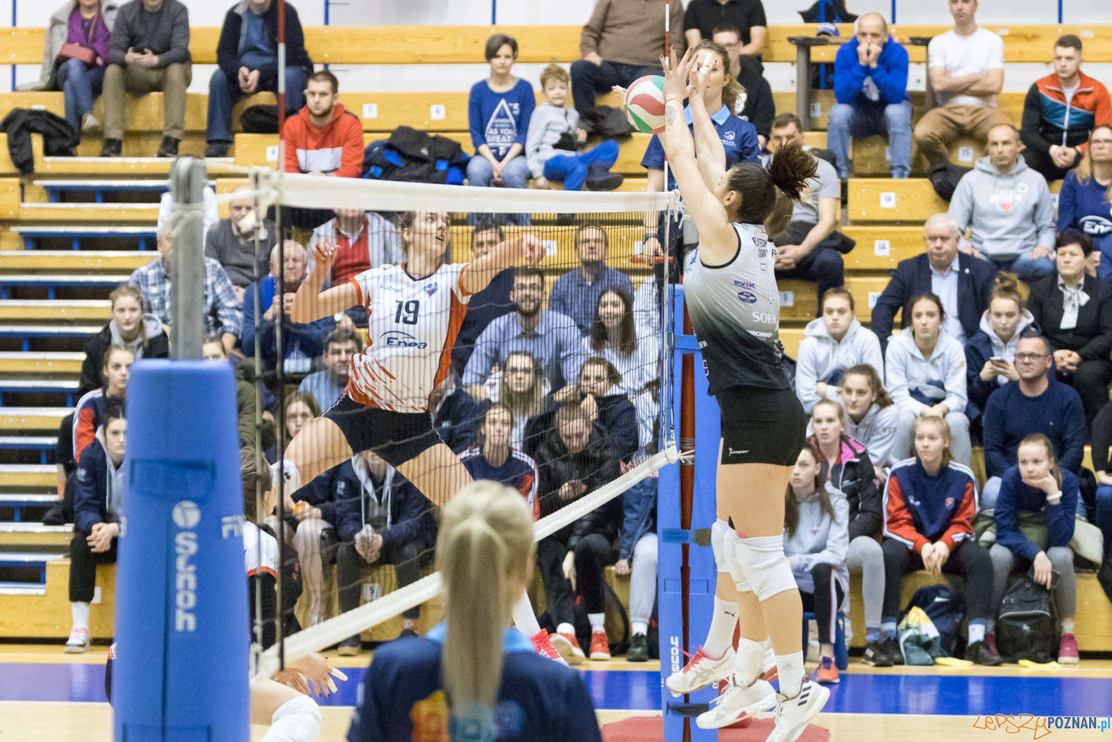 Enea Energetyk Poznań - AZS Politechnika Śląskia Gliwice Foto: lepszyPOZNAN.pl/Piotr Rychter Enea Energetyk Poznań - AZS Politechnika Śląskia Gliwice Foto: lepszyPOZNAN.pl/Piotr Rychter