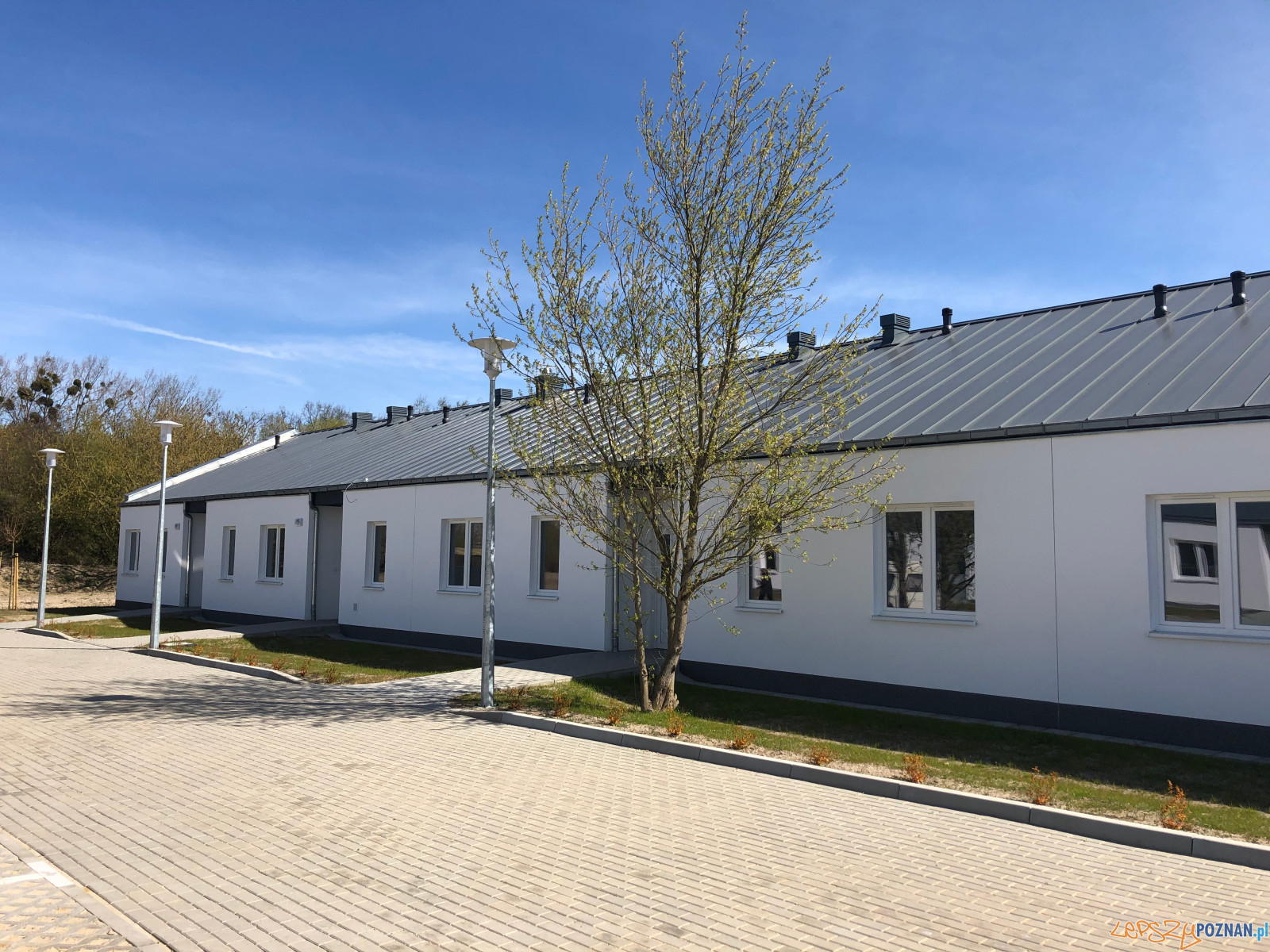 Darzyborska - osiedle ZKZL (6) Foto: materiały prasowe ZKZL Darzyborska - osiedle ZKZL (6) Foto: materiały prasowe ZKZL