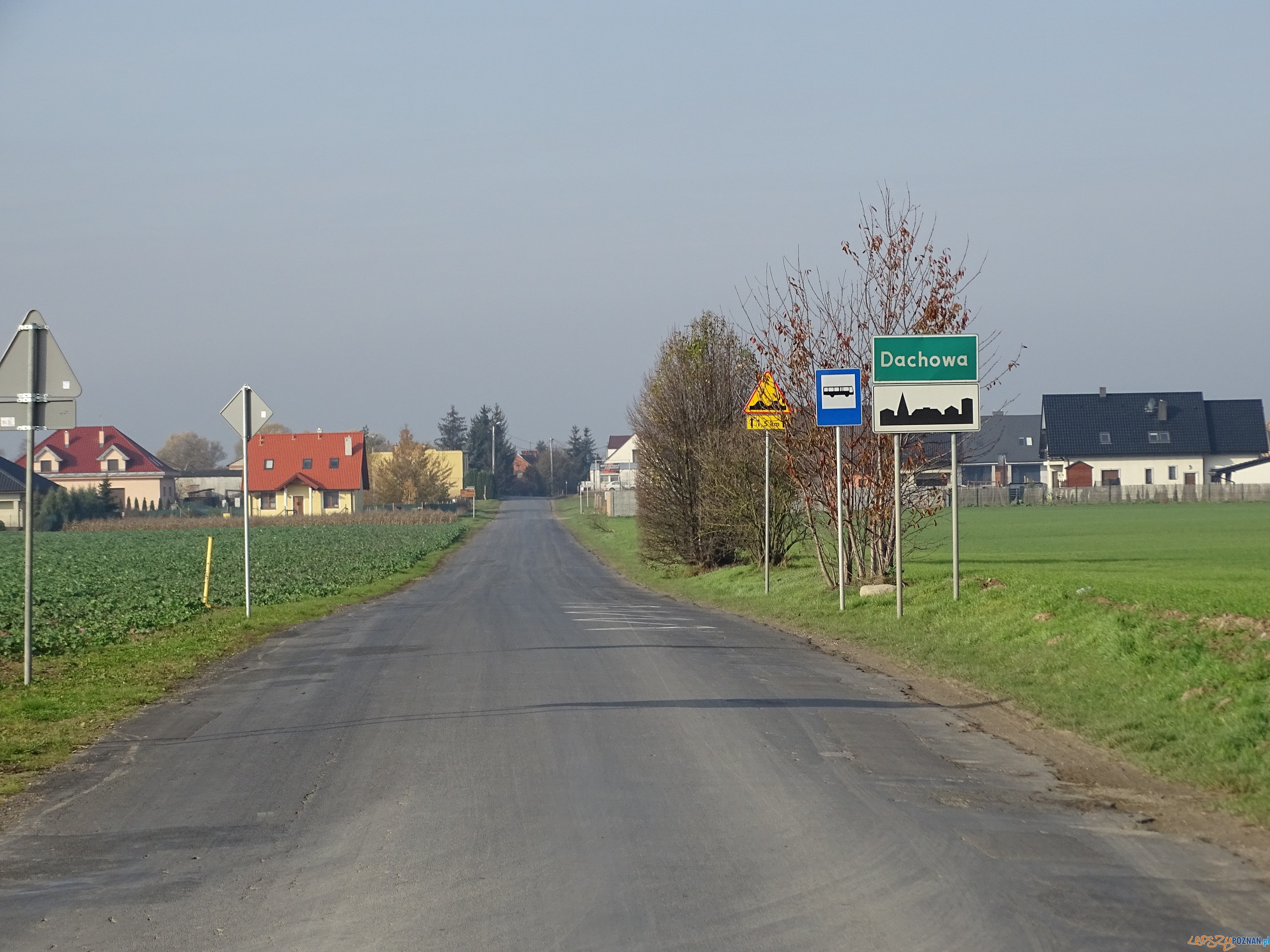 gadki szczodrzykowo (1) Foto: gadki szczodrzykowo (1) Foto: