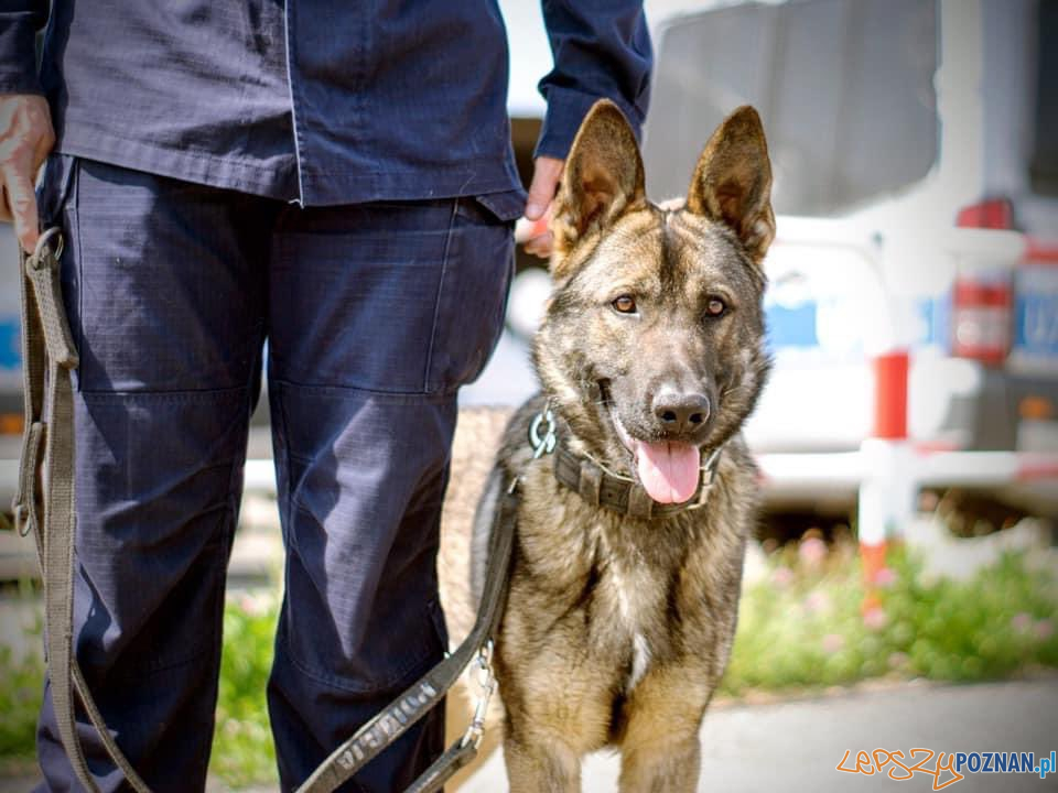 20200512_141118  Foto: materiały prasowe1