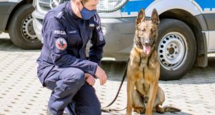 20200512_141114  Foto: 