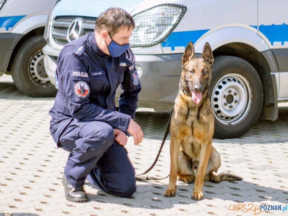 20200512_141114  Foto: 